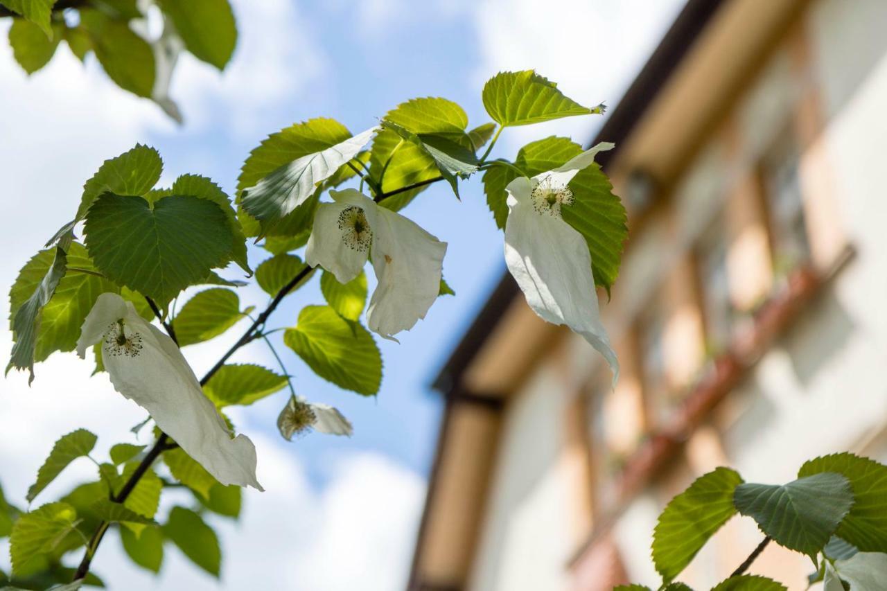 Gaestehaus Musmann Hannoversch Münden Εξωτερικό φωτογραφία