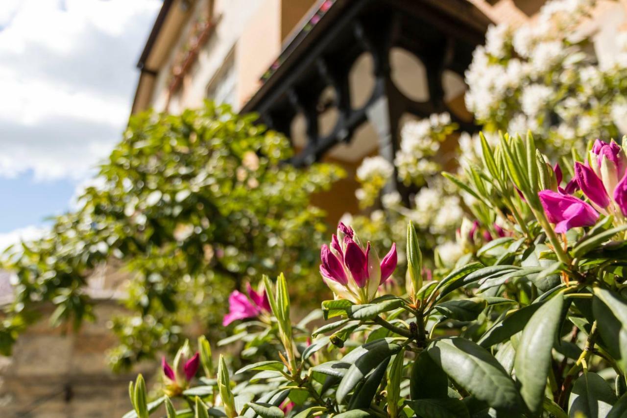 Gaestehaus Musmann Hannoversch Münden Εξωτερικό φωτογραφία